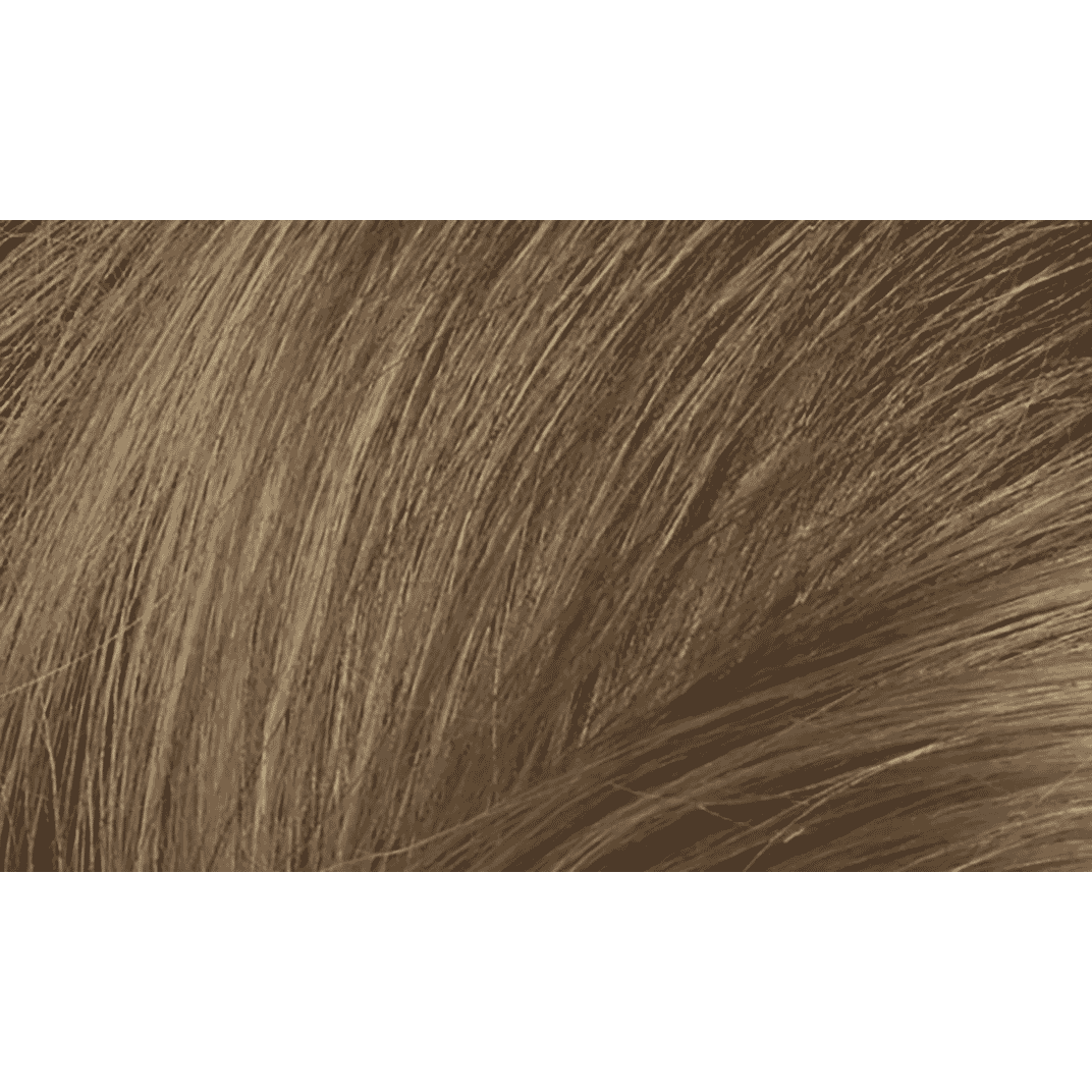 7N Hazelnut Blonde