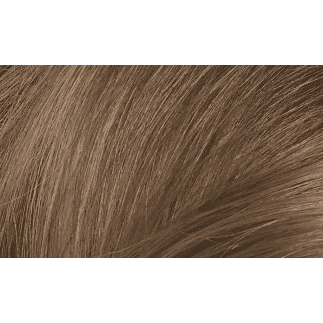 8N Wheat Germ Blonde