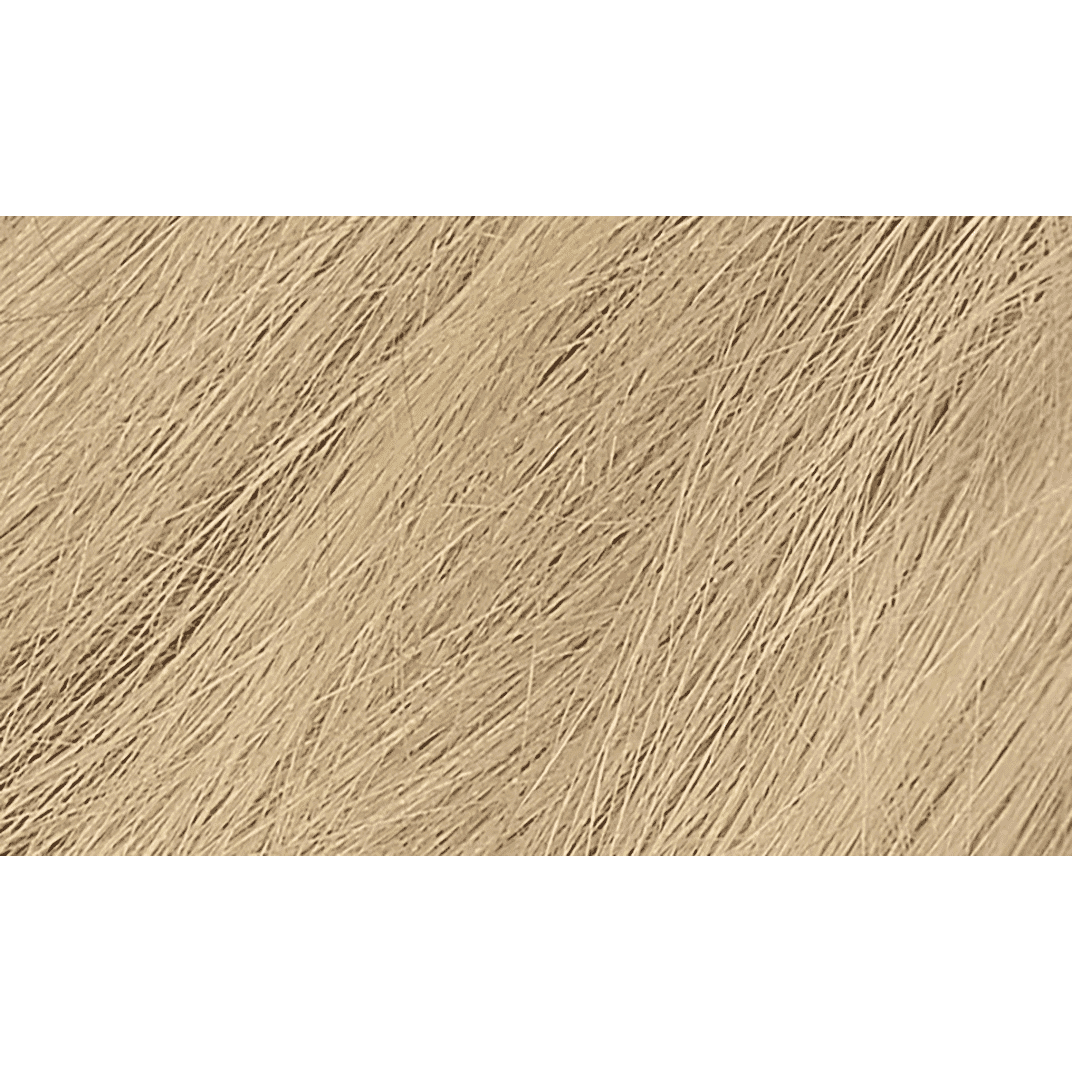 9N Honey Blonde