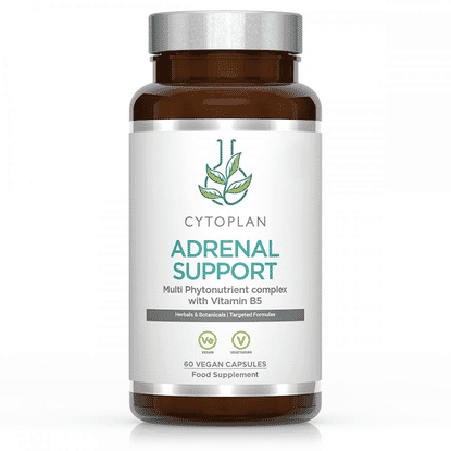 Adrenal Support 60s