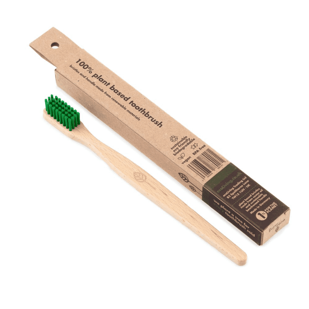 Adult Medium Beechwood Toothbrush Green