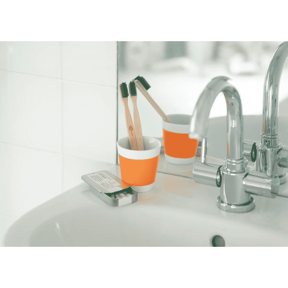 Adult Medium Beechwood Toothbrush Green