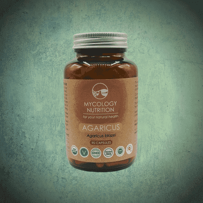 Agaricus (Agaricus blazei) 90s