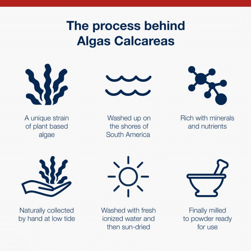 Algae-Sourced Calcium 90s