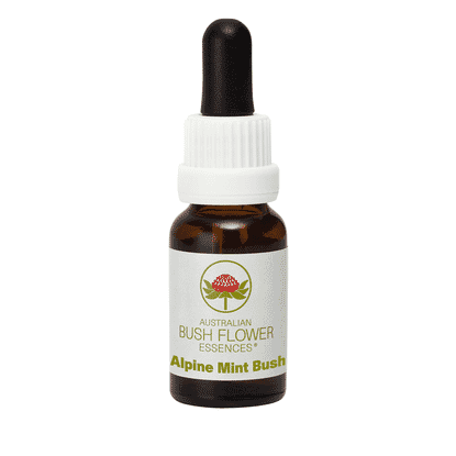 Alpine Mint Bush (Stock Bottle) 15ml