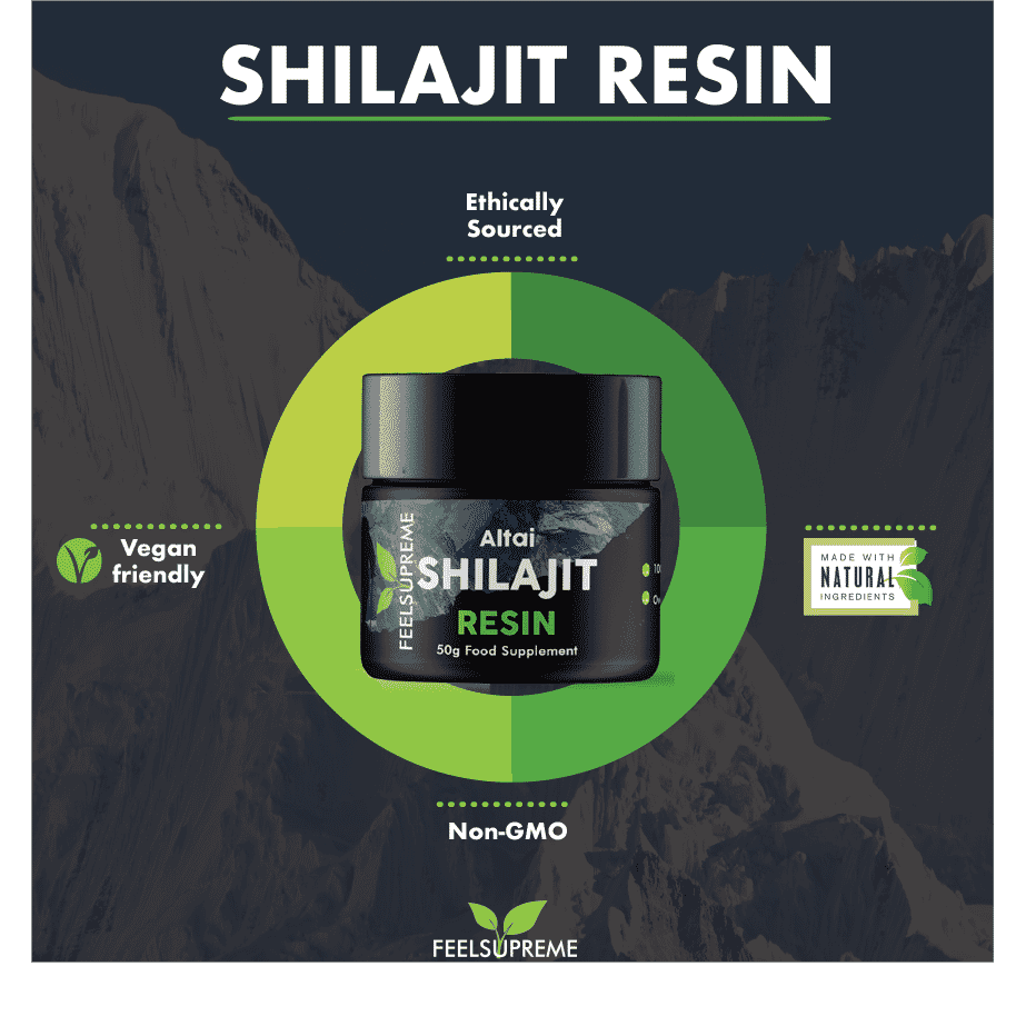 Altai Shilajit Resin 50g