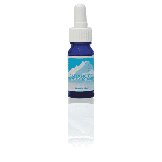 Antarctic (Stock Bottle) 10ml