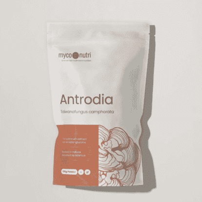 Antrodia 100g Powder 