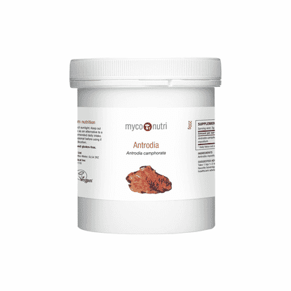 Antrodia Camphorata Powder 200g
