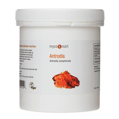 Antrodia Powder 200g