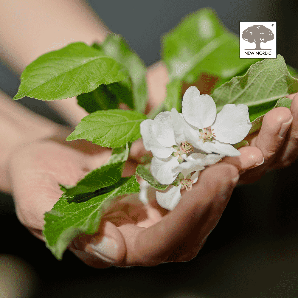 Apple Cider High Strength 720mg 60s