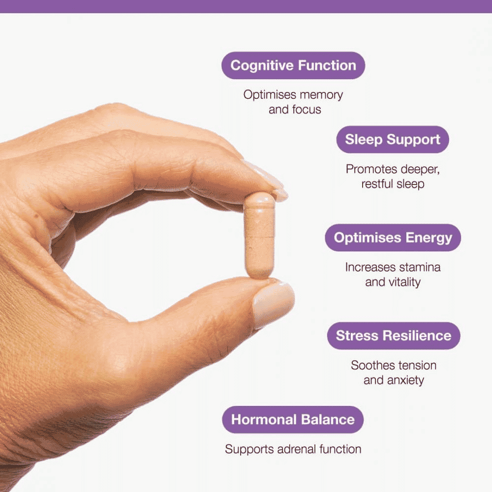 Ashwagandha 500mg 60s