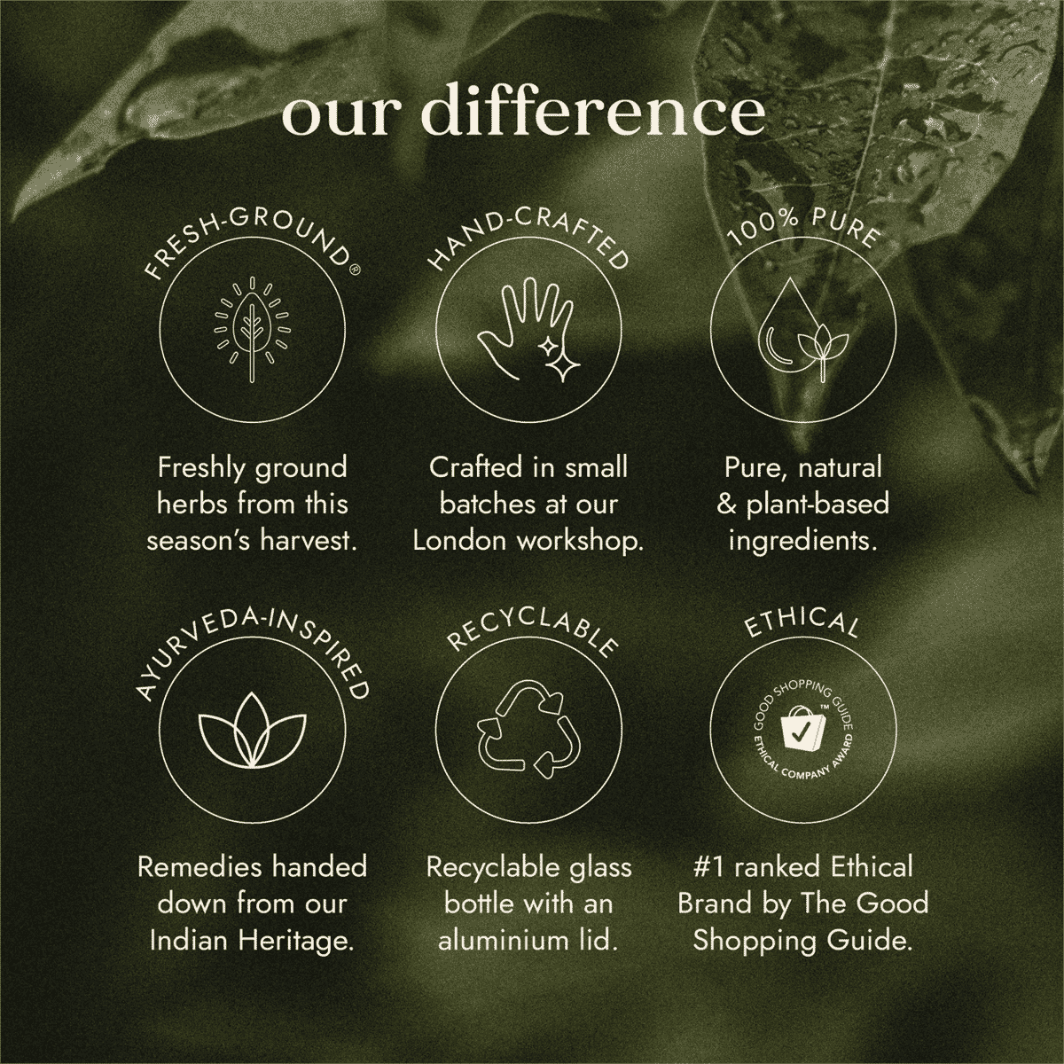 Ashwagandha Blend with KSM-66®