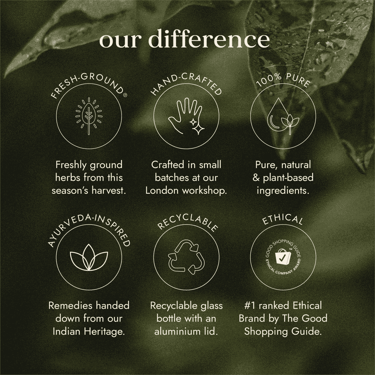 Ashwagandha Blend with Lemon Balm & KSM-66®