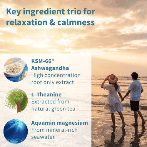 Ashwagandha + L-Theanine & Magnesium 60s