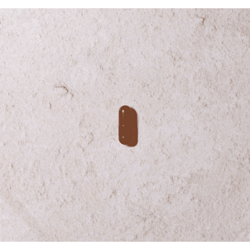 Astaxanthin & Blackcurrant 90s