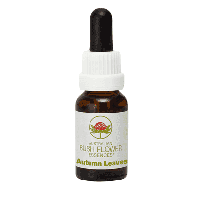 Autumn Leaves (Stock Bottle) 15ml