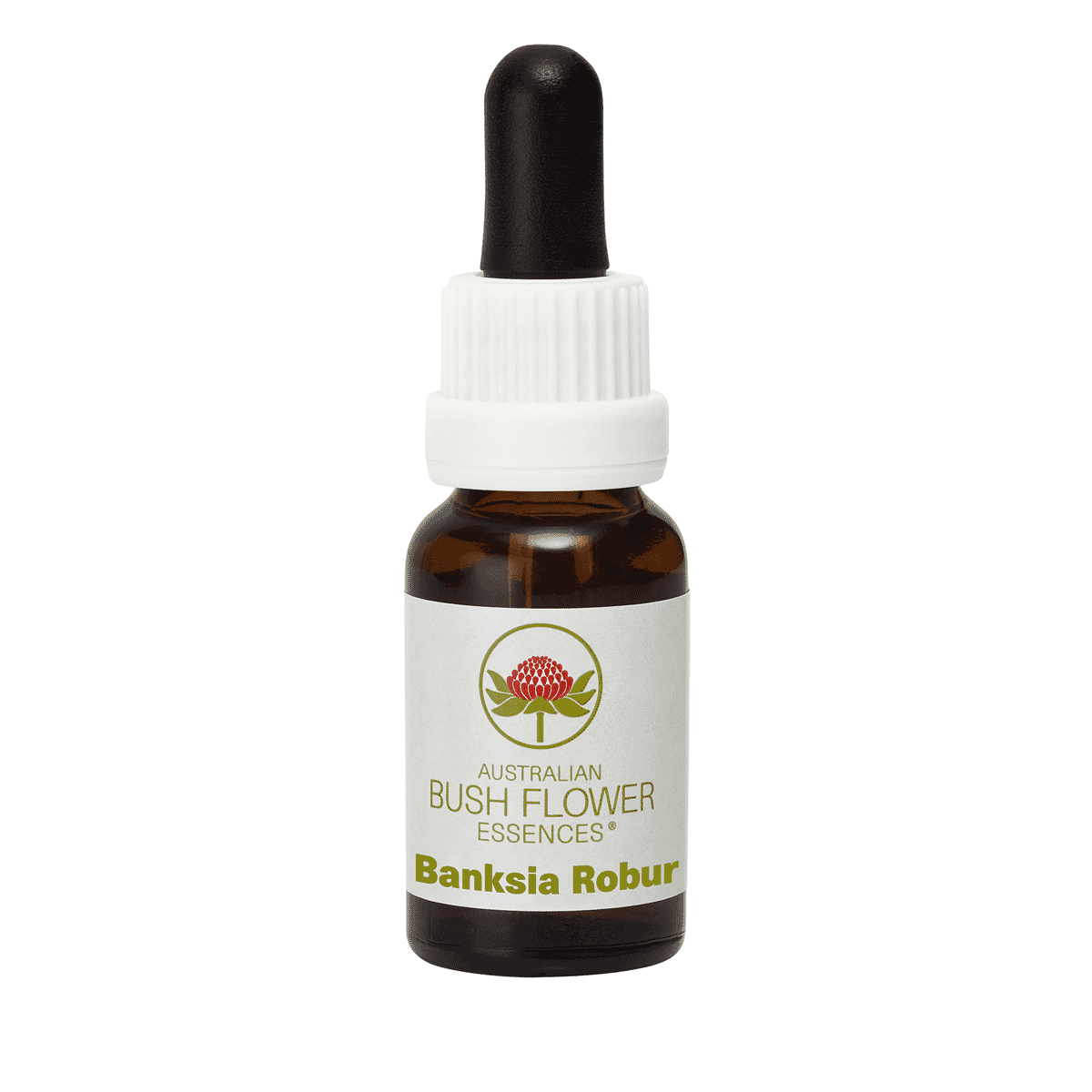 Banksia Robur (Stock Bottle) 15ml