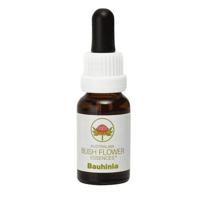 Bauhinia (Stock Bottle) 15ml