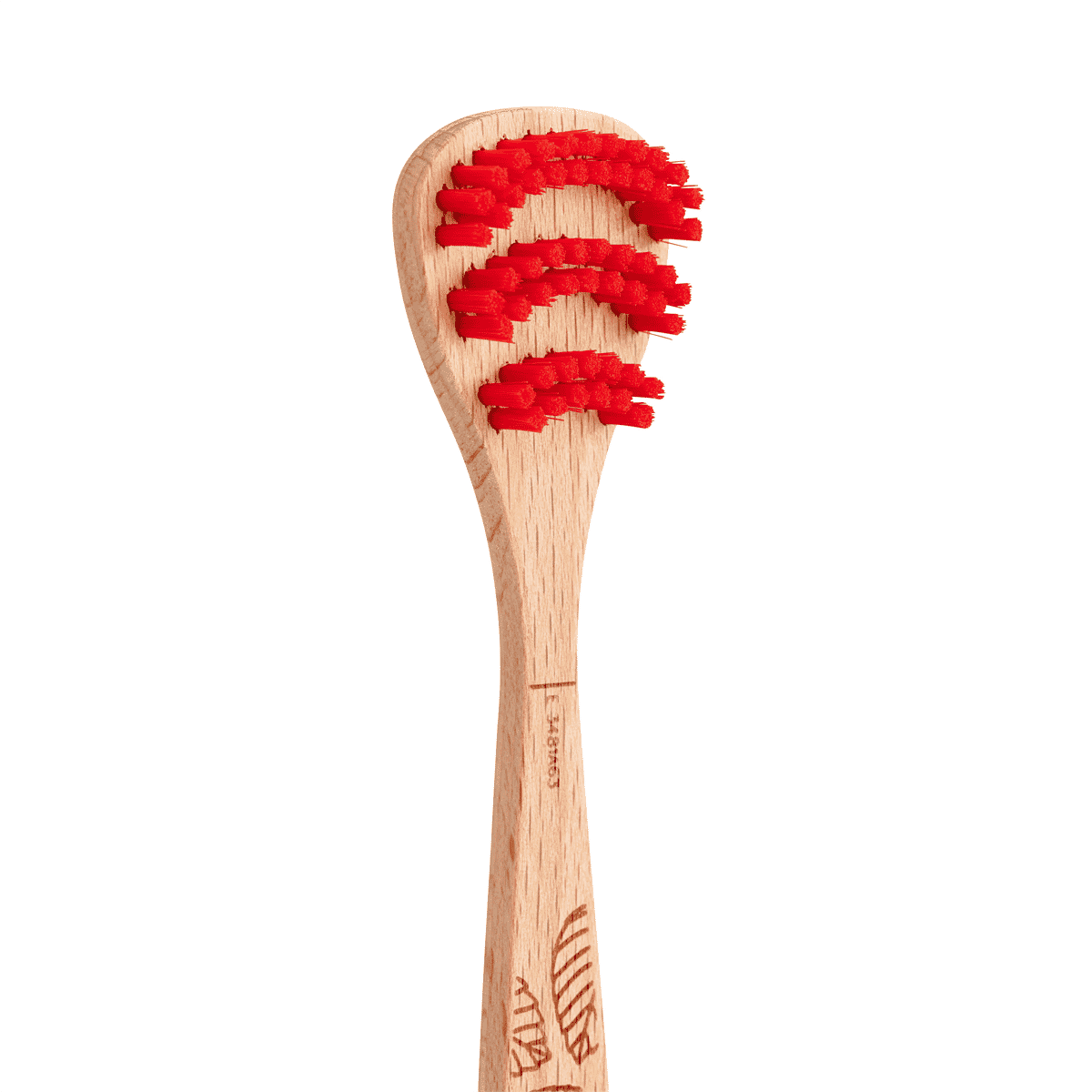 Beechwood tongue Brush 1 unit 