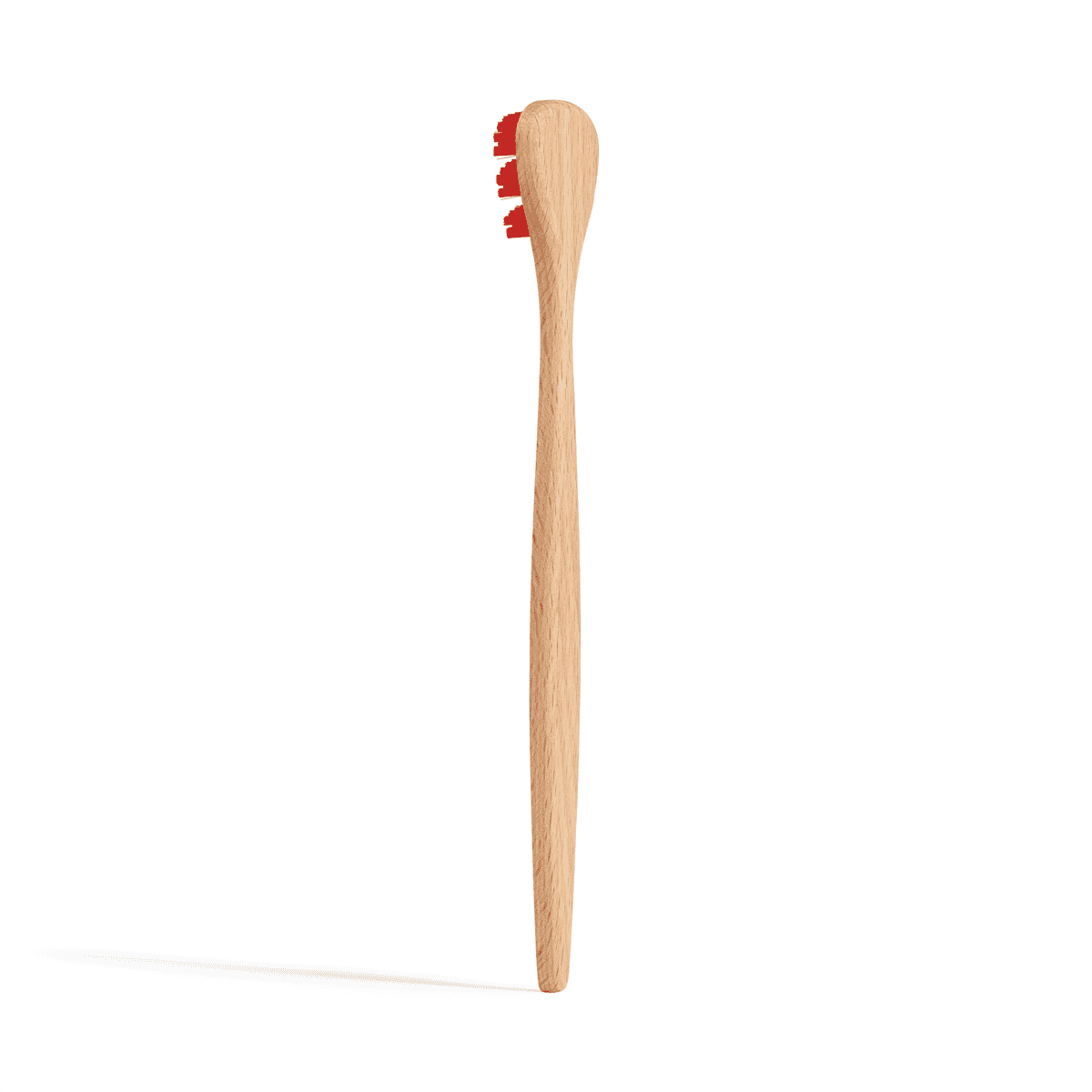 Beechwood tongue Brush 1 unit 