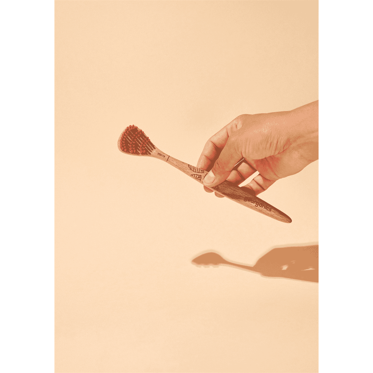 Beechwood tongue Brush 1 unit 