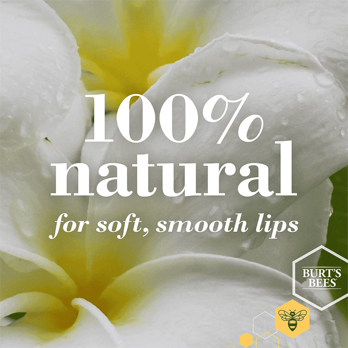 Beeswax & Vanilla Bean Lip Balm 2 Pack