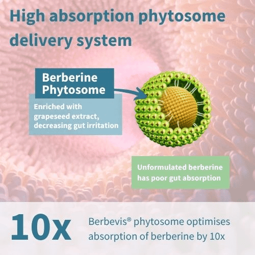 Berberine Phytosome & Chromium 60s