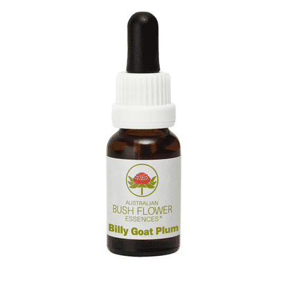 Billy Goat Plum (Stock Bottle) 15ml