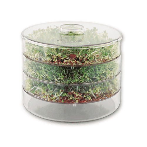 BioSnacky Germinator Seed Sprouter  Large 3 Tier