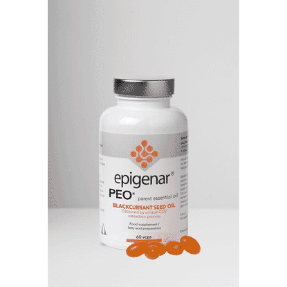 Blackcurrant Seed Oil 60s