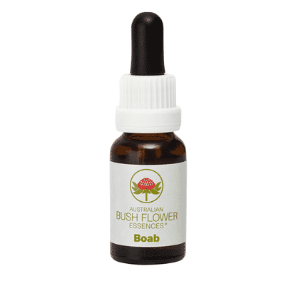 Boab (Stock Bottle) 15ml