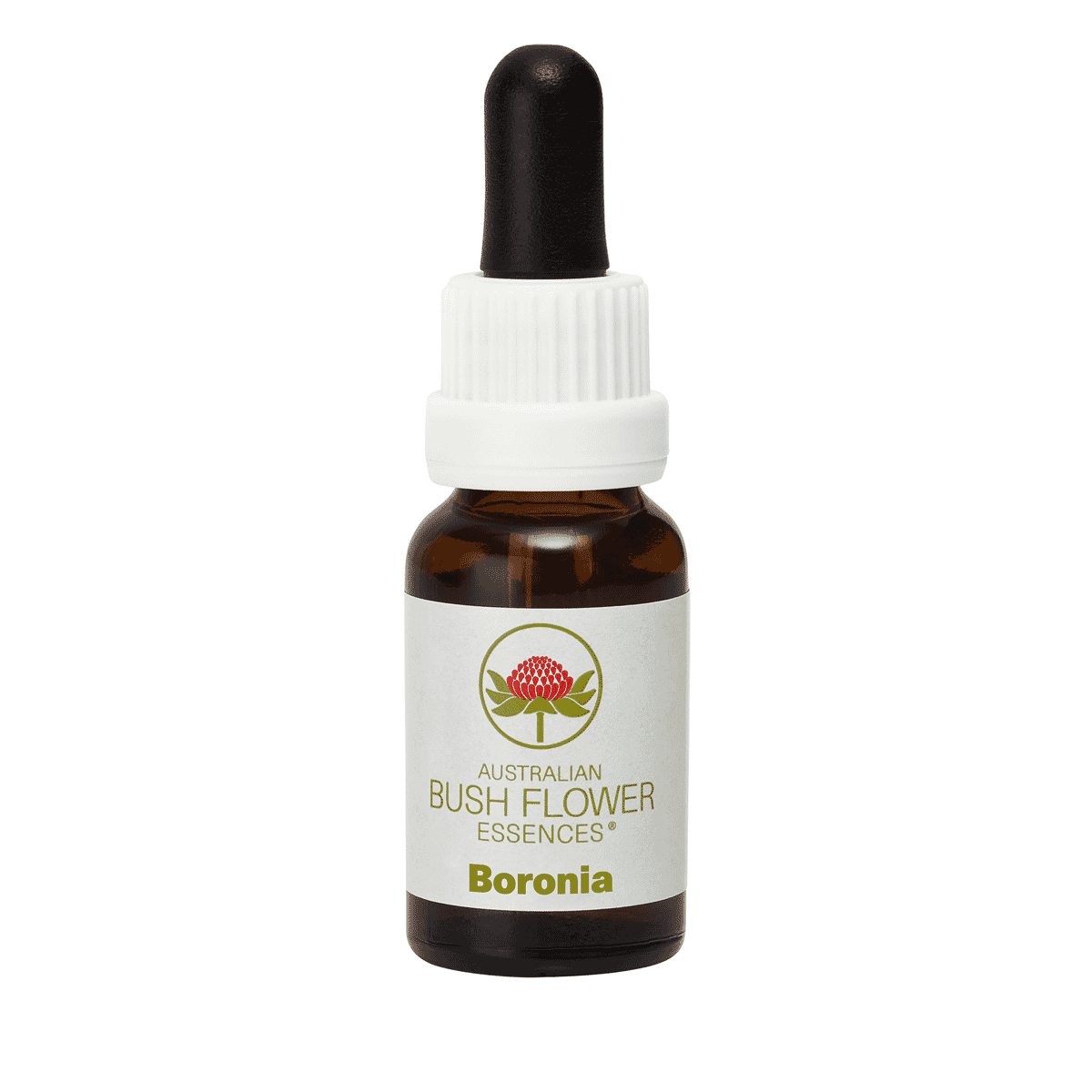 Boronia (Stock Bottle) 15ml