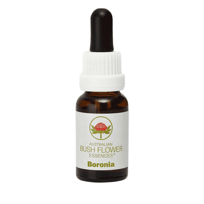 Boronia (Stock Bottle) 15ml