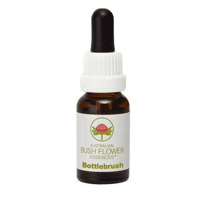 Bottlebrush (Stock Bottle) 15ml
