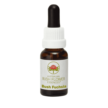 Bush Fuchsia (Stock Bottle) 15ml