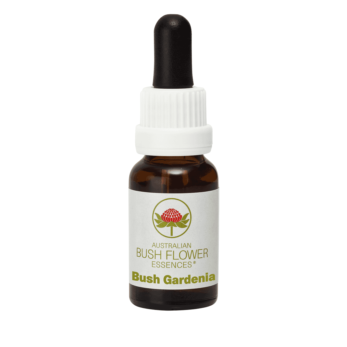 Bush Gardenia (Stock Bottle) 15ml
