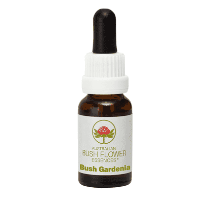 Bush Gardenia (Stock Bottle) 15ml