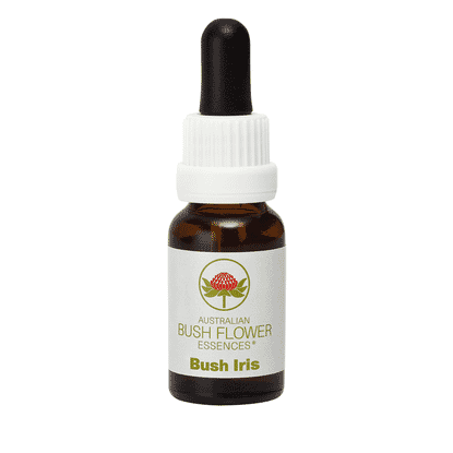 Bush Iris (Stock Bottle) 15ml