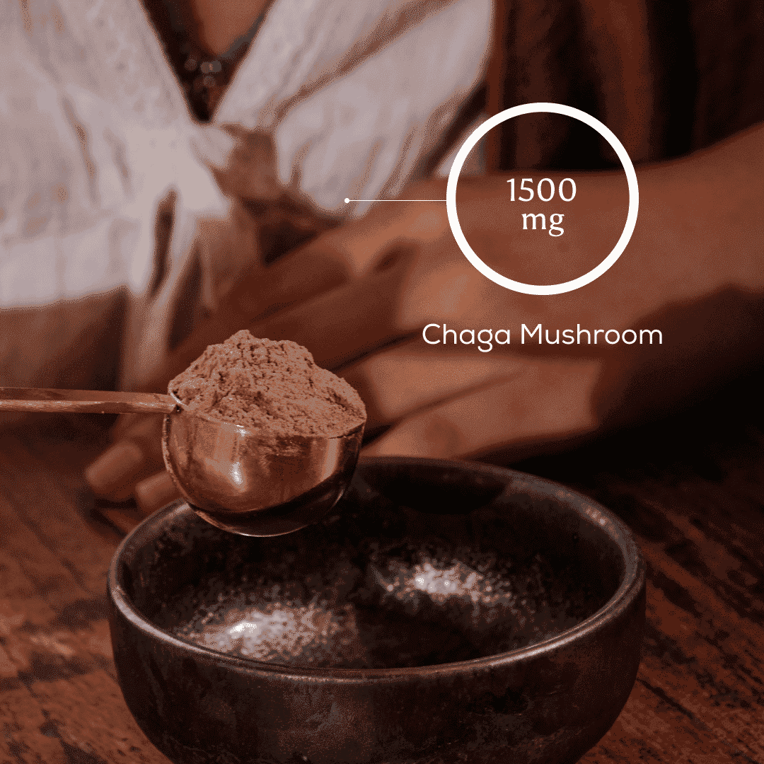Cacao + Chaga Tub 250g