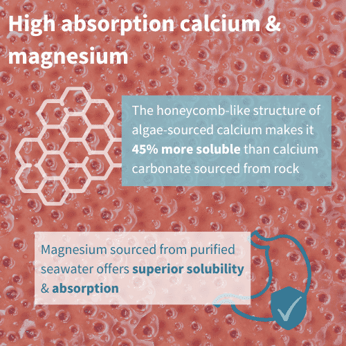 Calcium & Magnesium Musculoskeletal Support 60s