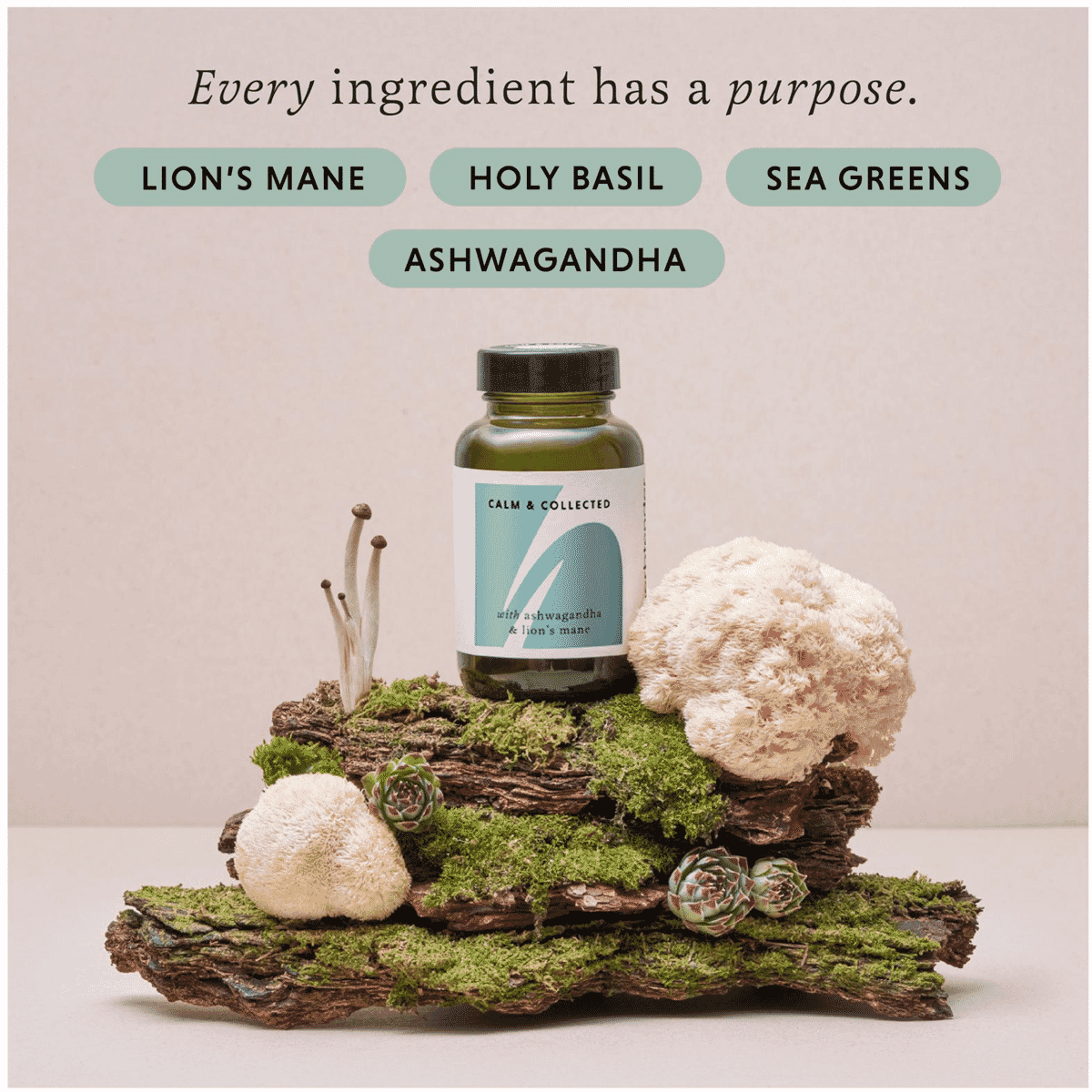 Calm & Collected 60s