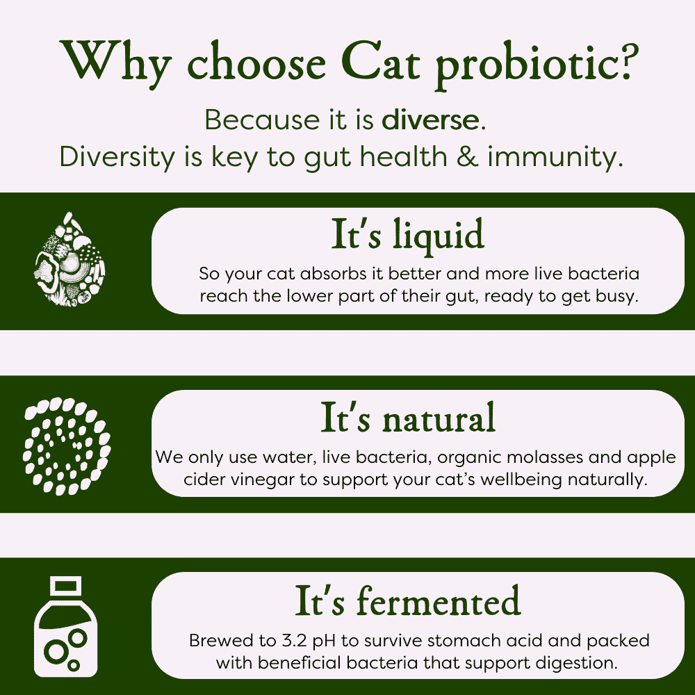 Cat Nutrition 1 Litre