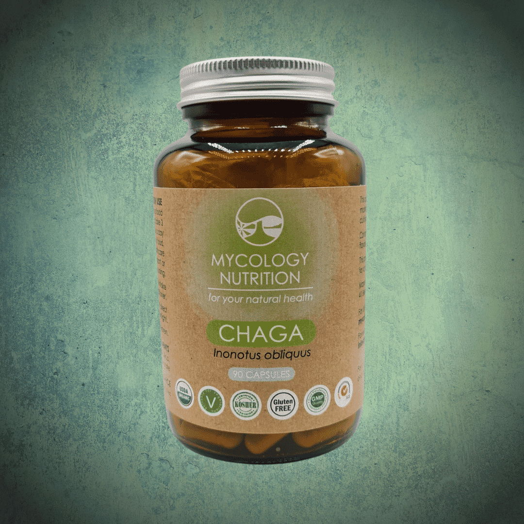 Chaga (Inonotus obliquus) 90s
