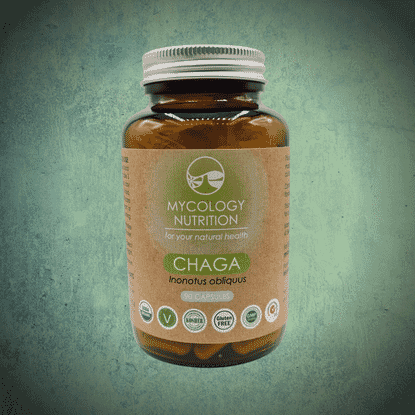 Chaga (Inonotus obliquus) 90s