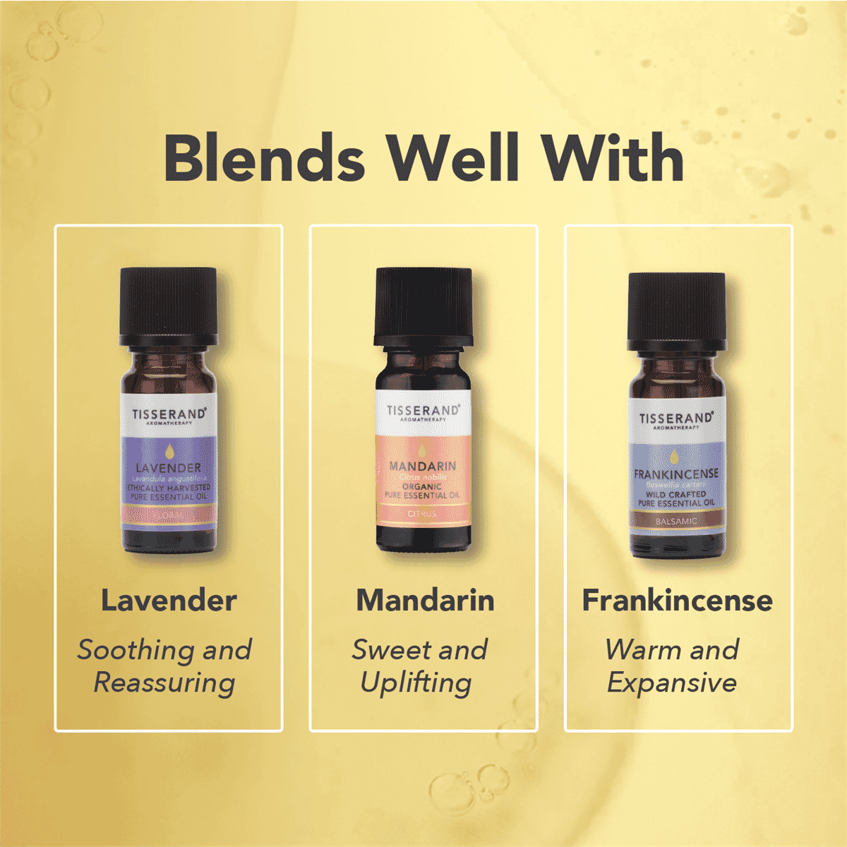 Chamomile (Roman) Ethically Harvested Pure Essential Oil  9ml