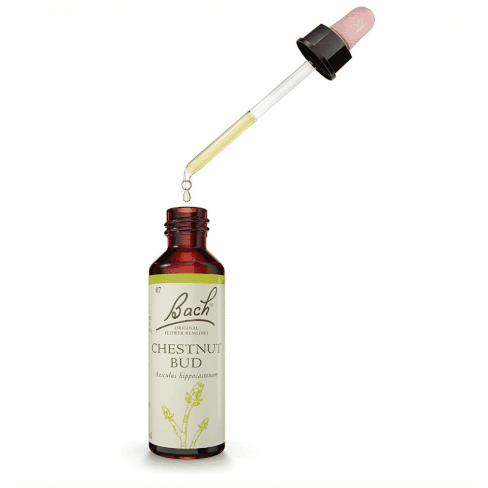 Chestnut Bud 20ml
