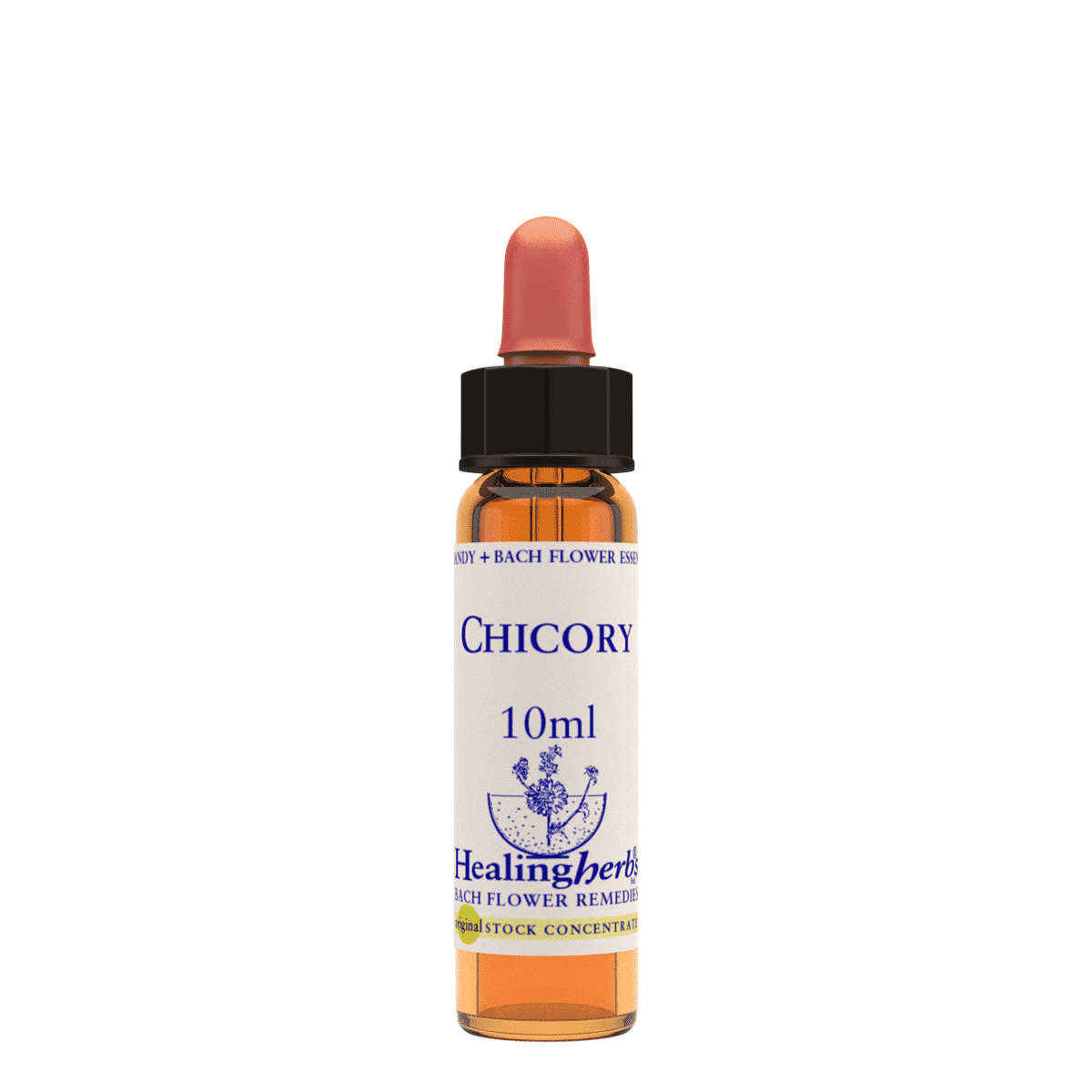 Chicory 10ml