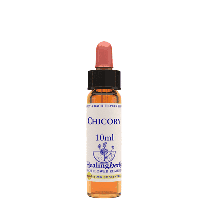 Chicory 10ml