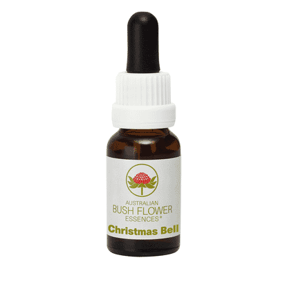 Christmas Bell (Stock Bottle) 15ml
